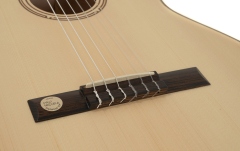 chitara electro-clasica Gewa Pro Natura Silver Samba Electro-clasica