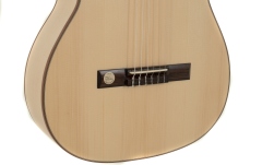 chitara electro-clasica Gewa Pro Natura Silver Samba Electro-clasica
