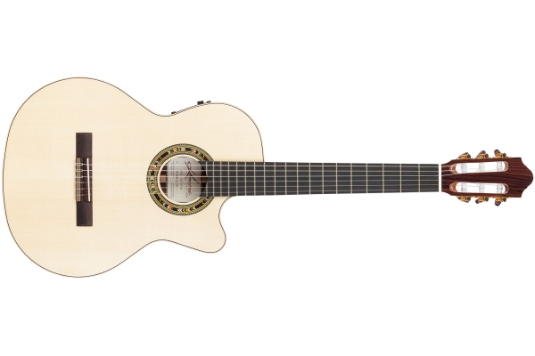 Performer F65CW-SB Solid Spruce/Solid Rosewood Back