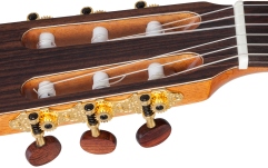 Chitară  electro-clasică Kremona Performer F65CW Solid Red Cedar/Indian Rosewood Veneer