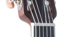 Chitara electro-clasică Ovation Celebrity Standard CS24C-4-G