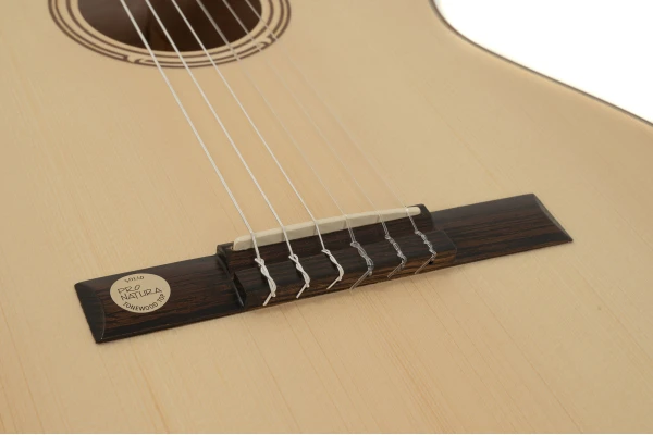 Gewa Pro Natura Silver Samba Electro-Classical Guitar — 4