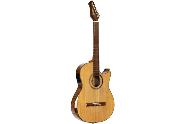 Ortega Ben Woods Signature Guitar Reversed Headstock Nylon 6 String + Ben Woods Gigbag - Fishman Clasica Blend System with XLR Output — 4