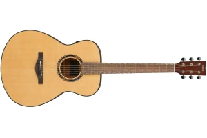 Yamaha TAS1 E Natural