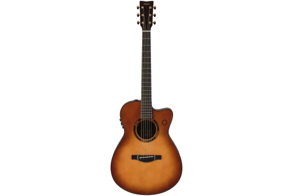 Yamaha TAS3 C Sandburst — 3