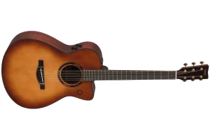 Yamaha TAS3 C Sandburst