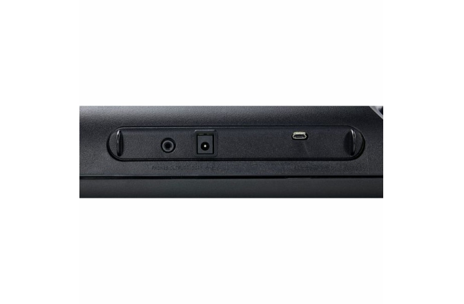 Clapă aranjor 61 clape Casio CT-S100