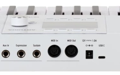 Clapă MIDI Arturia KeyLab 49 Mk3 White
