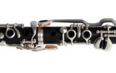 Clarinet pentru copii in gama Do Roy Benson CG-200C