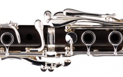 Clarinet profesional Buffet Crampon RC Prestige Green Line