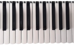 Claviatura acordeon FR8X Roland Keyboard Assy 41 Keys FR8X