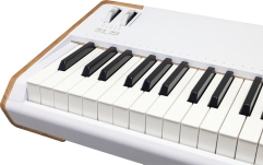 Claviatură de scenă Arturia AstroLab 88 