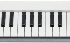 Claviatura de tip keytar Yamaha SHS-300 Sonogenic White
