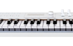 Claviatură MIDI Arturia KeyLab 49 mk3 White