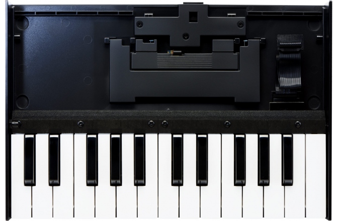 Claviatură pentru Roland Boutique Roland Boutique K-25m Keyboard