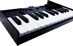 Claviatură pentru Roland Boutique Roland Boutique K-25m Keyboard