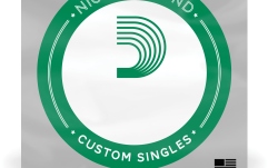Coardă chitară electrică Daddario PNG031 Single String 031