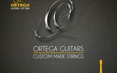 Coardă chitară Ortega Single String - Nylon Silver- plated Copper Wound - Single String 029