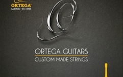 Coardă  chitară Ortega Single String - Nylon Silver- plated Copper Wound - Single String 037