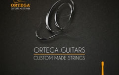 Coardă chitară Ortega String Set 8-String Nylon Silver-plated Copper Wound - Single String 031