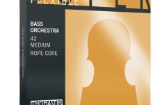 Double Bass String Thomastik Double Bass Strings Superflexible Rope Core D
