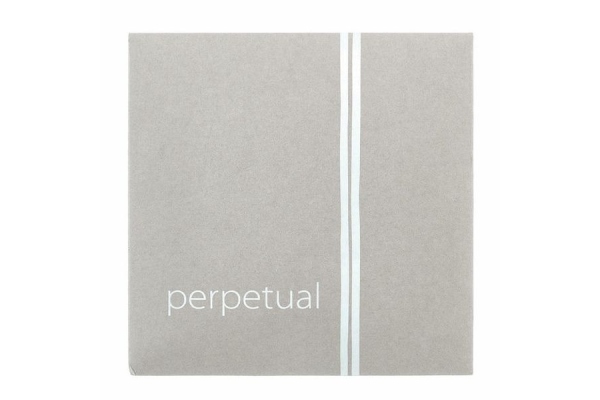 Perpetual A Violin 4/4 steel