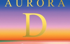 Coarda Re(D) vioară Larsen Aurora Re(D) Silver Medium 4/4