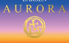 Coarda Re(D) vioară Larsen Aurora Re(D) Silver Medium 4/4