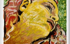 Coarda Re(D) vioară Pirastro Evah Pirazzi Neo D Violin 4/4