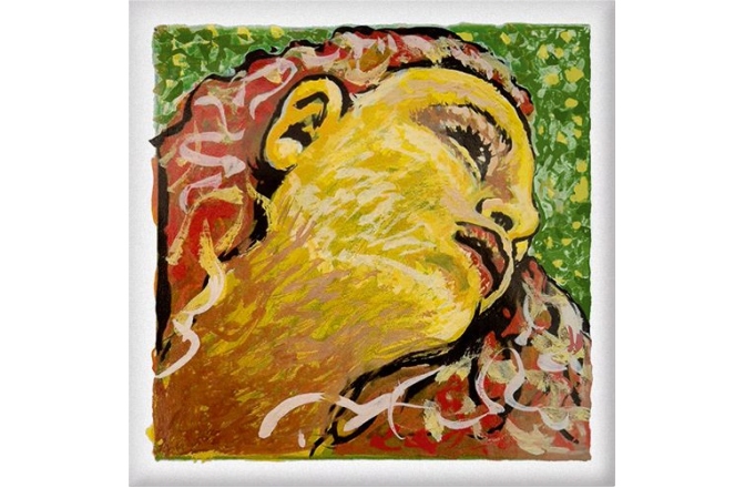 Coarda Re(D) vioară Pirastro Evah Pirazzi Neo D Violin 4/4