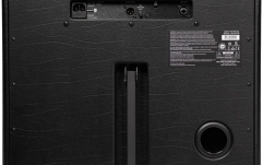 Combo / Cabinet chitară electrică BlackStar Artist FR Special 100W