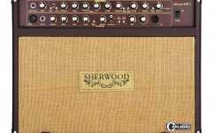 Combo chitară acustică Carlsbro Sherwood 60