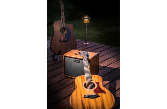 Combo chitară acustică Hughes&Kettner  era 1 - wood