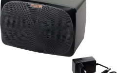 Combo pentru bas electric YUER  YS 10B Portable Amp for Bass Guitar with Bluetooth