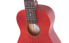 Concert Ukulele  Almeria lac mat nuantat