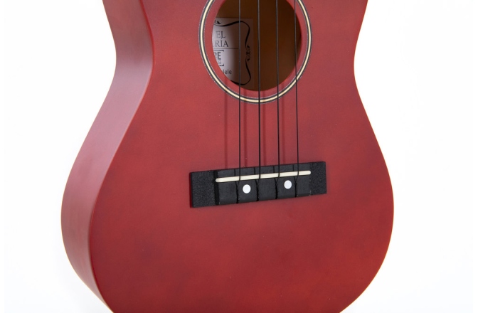 Concert Ukulele  Almeria lac mat nuantat