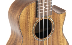Concert Ukulele  Gewa  Manoa Special Concert with Cutaway