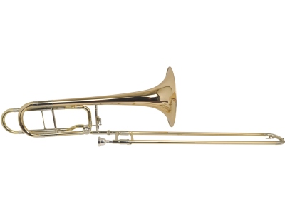 110H Professional auriu
