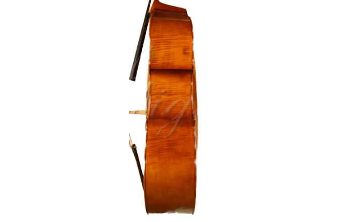 Contrabas 1/2 Gliga Contrabas 1/2 Gama (profesional)