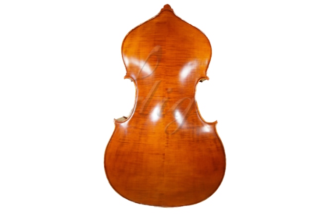 Contrabas 1/2 Gliga Contrabas 1/2 Gama (profesional)