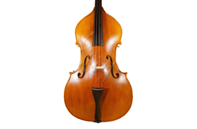 Contrabas 1/2 Gliga Contrabas 1/2 Gems 2 (student), spate drept