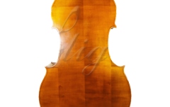 Contrabas 1/2 Gliga Contrabas 1/2 Gems 2 (student), spate drept
