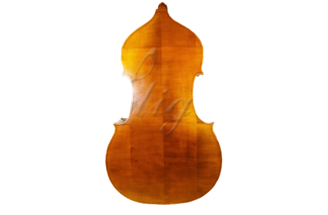 Contrabas 1/2 Gliga Contrabas 1/2 Gems 2 (student), spate drept