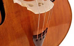 Contrabas cu 4 corzi Lutier Ioan Bucur Model Rogeri Cap de Leu 4 Corzi