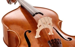 Contrabas cu 4 corzi Lutier Ioan Bucur Model Rogeri Cap de Leu 4 Corzi