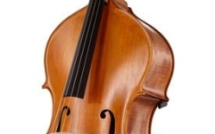 Contrabas cu 4 corzi Lutier Ioan Bucur Model Rogeri Cap de Leu 4 Corzi