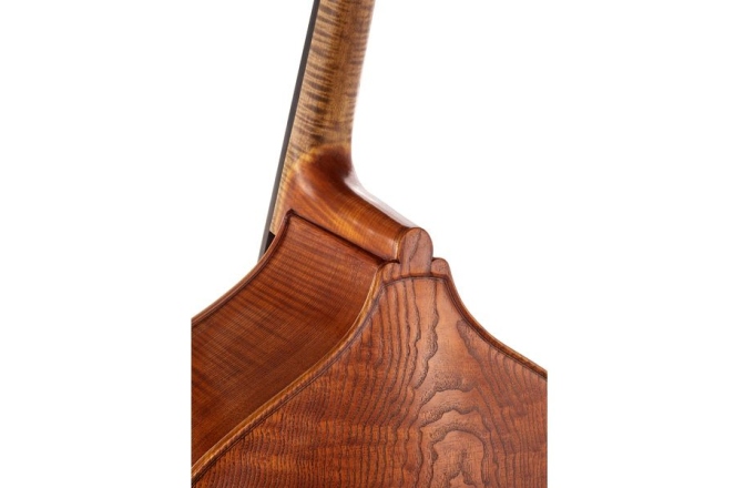 Contrabas cu 5 corzi Lutier Ioan Bucur Model Bucur 5 Corzi