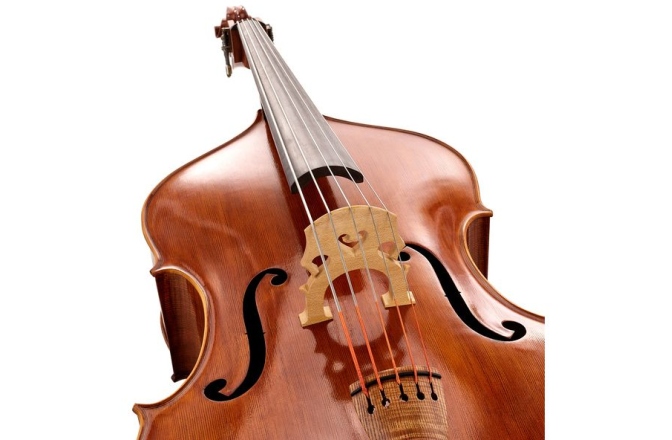 Contrabas cu 5 corzi Lutier Ioan Bucur Model Bucur 5 Corzi