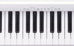 Controler MIDI Roland A-49 White