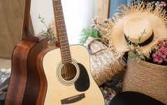 Cort AD810 OP